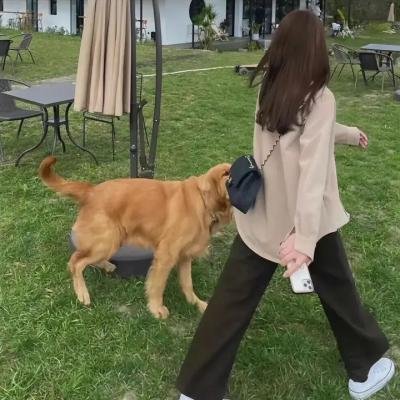 妖怪合租屋 电影版